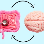 Gut Brain