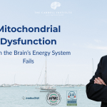 Mitochondrial Dysfunction — When the Brain’s Energy System Fails.