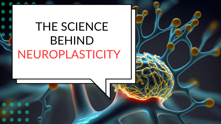 The Science Behind Neuroplasticity in the ReCODE Program