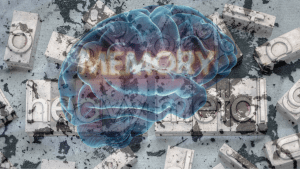 Heavy Metals and Memory Loss