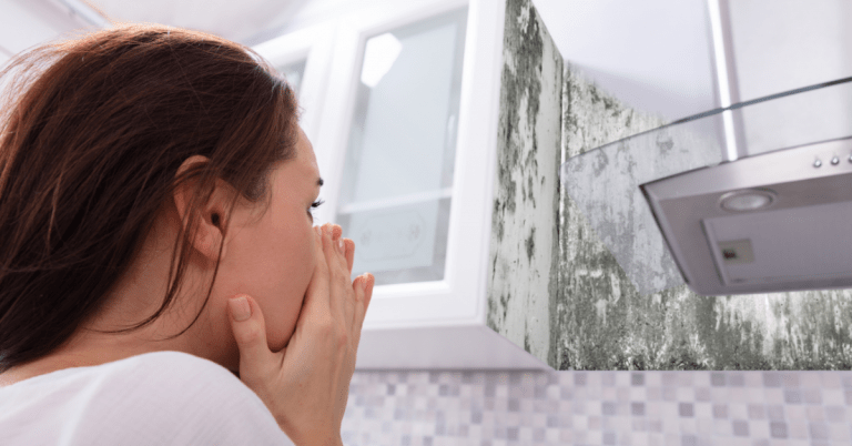 Mold Exposure and Brain Health