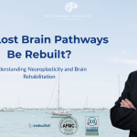 Understanding neuroplasticity, cognitive rehabilitation, and the brain's remarkable capacity for change.